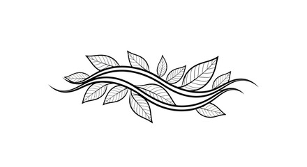 Fototapeta premium Stylized Leafy Vine Divider or Border Element, Elegant Botanical Design on Isolated White Background