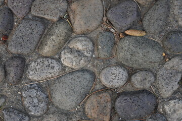 Close-up view of irregularly shaped cobblestone pavement