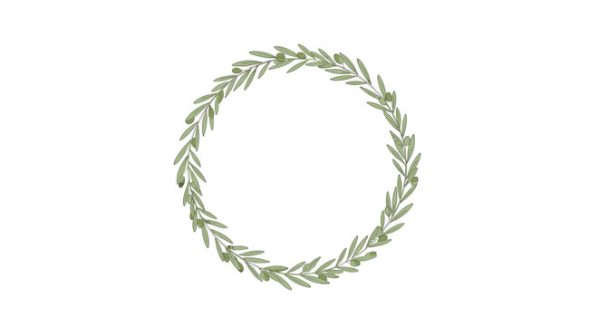 Delicate circular wreath made of green olive branches with small olives on a plain white background for peace and purity.