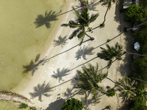 Aerial view of palm trees casting long shadows on the sandy shore where turquoise water meets the land, Karimunjawa, Central Java, Indonesia.