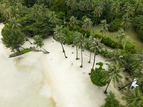Aerial view of Bobby Beach's shoreline where lush green vegetation meets the white sand, a tropical paradise unfolds, Karimunjawa, Central Java, Indonesia.