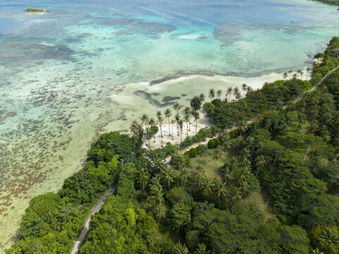 Aerial view of the vibrant turquoise sea meeting the lush green shoreline near Bobby Beach, Karimunjawa, Central Java, Indonesia.