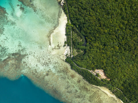 Aerial view of where the turquoise sea meets the lush green forest, creating a stunning contrast of nature's beauty, Karimunjawa, Central Java, Indonesia.
