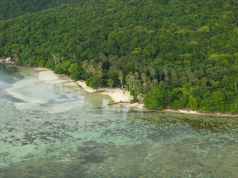 Aerial view of Bobby Beach where turquoise waters meet the creamy shore, fringed by verdant forest, Karimunjawa, Central Java, Indonesia.