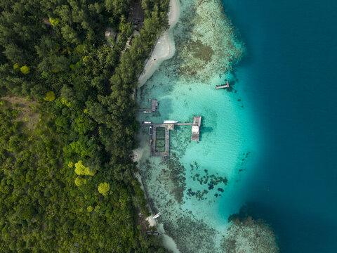 Aerial view of the vibrant turquoise waters meeting the lush green coastline near Shark Breeding Menjangan Kecil, Karimunjawa, Central Java, Indonesia.