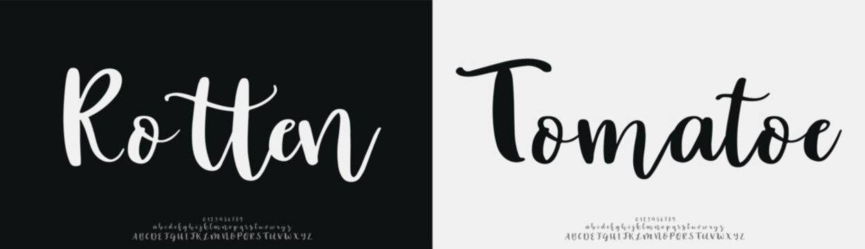 Rottan Tomatoe, Script luxury wedding alphabet letters font with tails. Typography elegant classic serif fonts and number decorative vintage retro concept for logo branding. vector illustration
