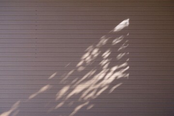 ガレージのシャッターに映る木の葉の影