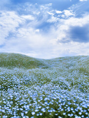 緩やかな丘に広がる水色のネモフィラ畑・春の美しい自然風景