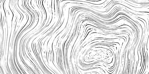 Plakat Log cut, wood texture, tree rings pattern, shades of gray, rough vector background