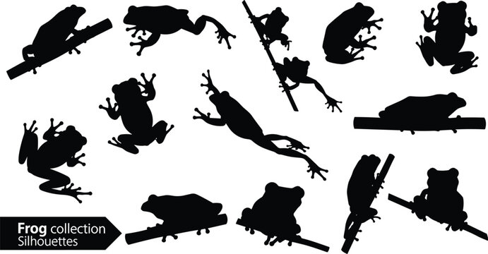 Black frog collection silhouettes vector set with amphibians jumping climbing and sitting isolated on white background for nature design elements