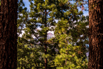 Fototapeta premium Paisaje con el pico del Teide y nubes en la isla de Tenerife.