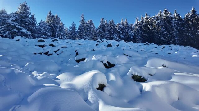 Amazing Winter landscape of Vitosha Mountain, Sofia City Region, Bulgaria