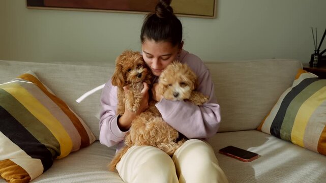 Spend joyful time with woman cuddling and playing puppies on sofa