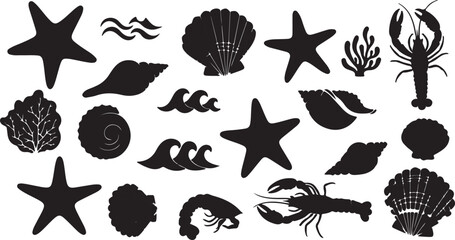 black and white illustration of various sea shells and starfish