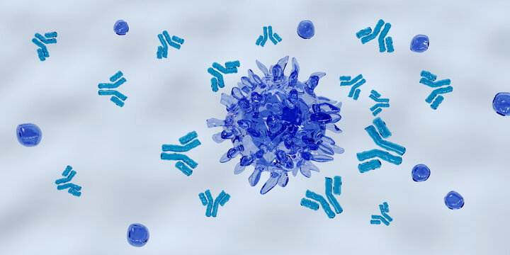 T-cell or B-cell with antigen concept. White blood cells. Medical and science concept background. 3D render