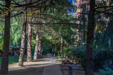 Obraz premium Green Alley with Flowering Shrubs in Tbilisi
