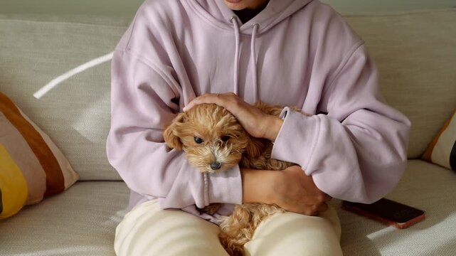 Soothing woman lovingly strokes her cuddly poodle while sitting comfortably
