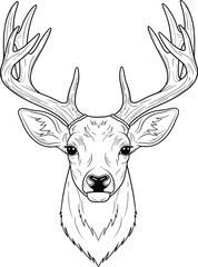 Fototapeta premium Detailed illustration of a deer with large antlers