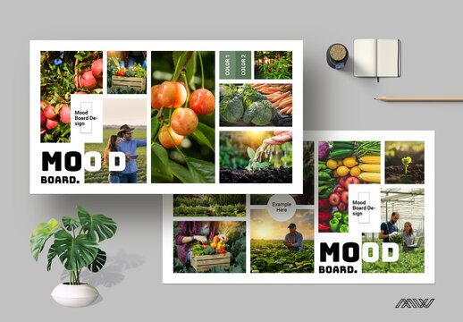 Minimal Mood Board Design