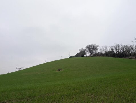 Collina erbosa dal profilo morbido, ripresa in una giornata nuvolosa. L&rsquo;erba verde e il cielo grigio creano un&rsquo;atmosfera calma e contemplativa