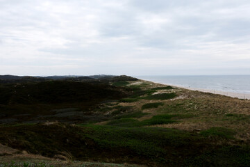 Obraz premium Sylt Dunes and Beach Grass – documentary style, real world, authentic situation, natural light, genuine moment captured by human photographer, no ai