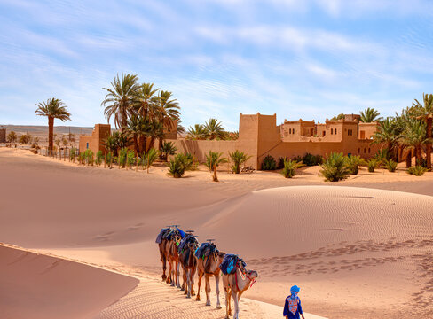 General view of the Merzouga hotels district - Merzouga, Sahara, Morocco 