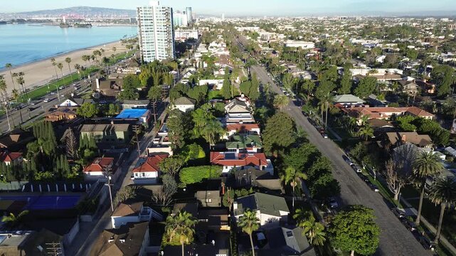 Oceanfront stretch along Ocean Blvd near Bluff Park overlooks coastal, palm rows, distant port cranes, downtown skylines framing shoreline. Sunlit roofs, tall palms, marine haze, Long Beach, CA