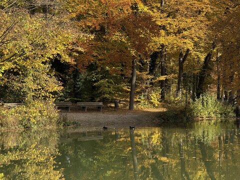Autumn landscape by a small lake; the trees with their colorful leaves are reflected in the clear water's surface.