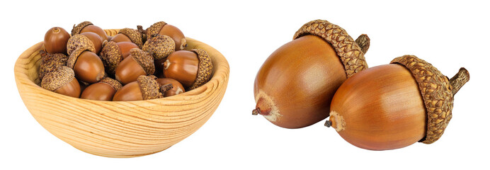 Brown acorn oak nut in wooden bowl isolated on white background. Top view. Flat lay © kolesnikovserg