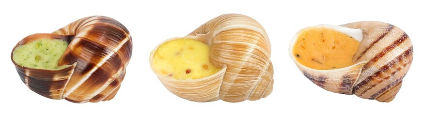 escargot snail filled with different fillings isolated on white background © kolesnikovserg