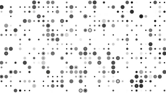 Minimalist white background with black and gray circles of different diameters and stroke weights. Monochrome abstract circle pattern with varying sizes. Loop animation.