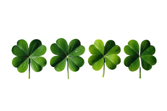 Four-leaf clovers bringing luck, fortune, and success, isolated on transparent background, symbolizing good omens and prosperity