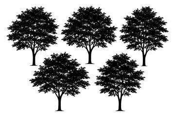 Obraz premium Five black tree silhouettes on white background.