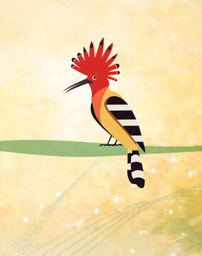 Indian Hoopoe Bird in Natural Environment.