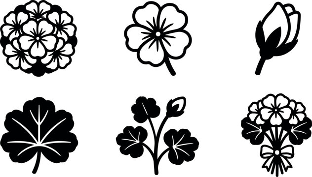 Flat design floral icon set six geranium and bud silhouettes bouquet and leaves close up isolated black on white vector