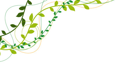 natura, rami, piante, rampicanti, edera, liane © xyz+