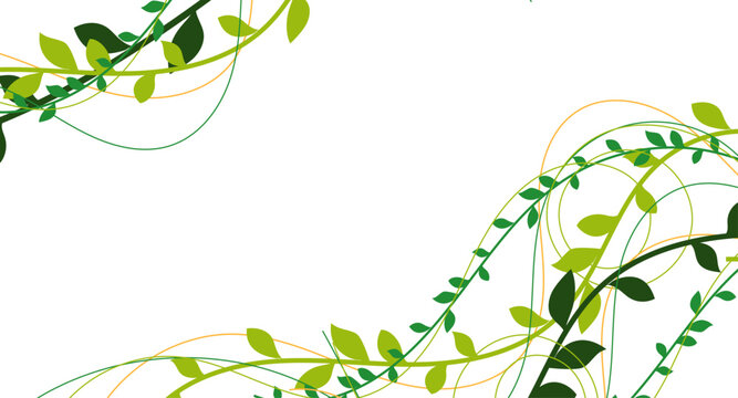 natura, rami, piante, rampicanti, edera, liane