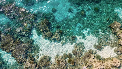 Tableau sur plexiglas  Aerial View of a Colorful Coral Reef  © Asawin