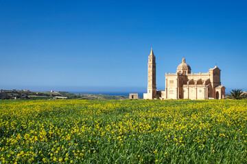 Bazylika Ta' Pinu z wiosenną łąką 2026 © Krzysiek Cegiełka