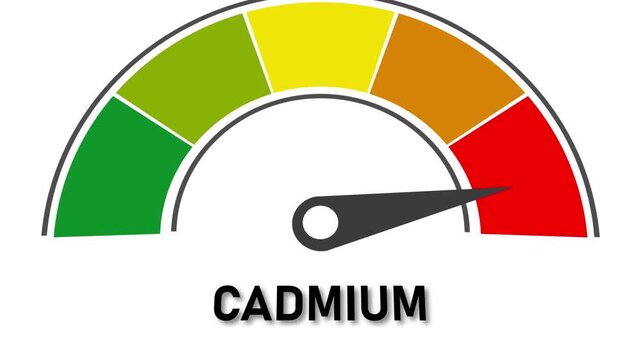 Cadmium level indicator with colored segments and a needle pointing to red Keywords: cadmium, indicator, gauge, meter, scale, measurement, toxicity, danger, warning, red, orange, yellow, green