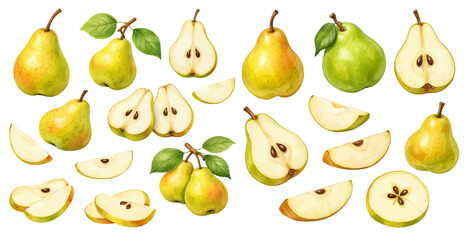 Obraz premium A charming watercolor collection of green and yellow pear fruits with slices for botanical food graphics and recipe design.