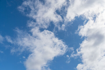 Fototapeta premium 早春の雨上がりの青空と雲37