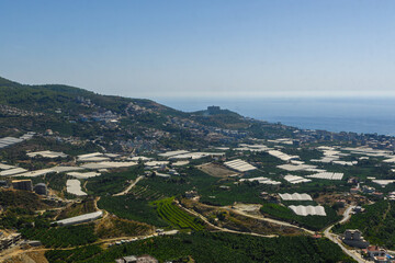 Obraz premium A breathtaking view of green fields and coastal landscape in a vibrant agricultural region under a clear blue sky
