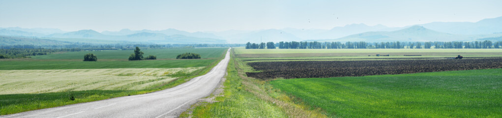 Countryside view with road, a large panorama of spring meadows and fields, spring greenery © Valerii