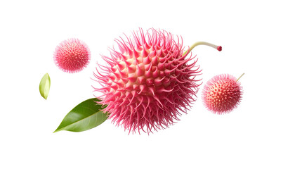 Isolated shot of exotic pink fruit with spiky texture, leaves, and a black background