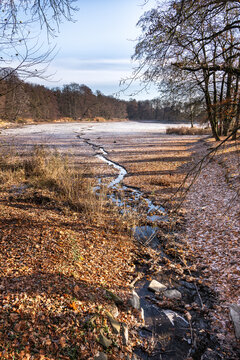 Narrow inlet channel flowing into the castle pond in Machern Castle Park, Saxony, Germany. Winter scene with frozen water, icy banks and low water level in the pond.