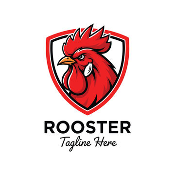 Fierce red rooster head illustration within a shield emblem, a strong vector graphic mascot design.