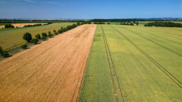 Wheat fields in various stages in the rural area of Germany, seen from above