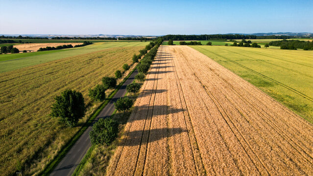 A street dividing wheat fields in the rural area of Germany, seen from above