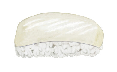 イカの握り寿司のイラスト